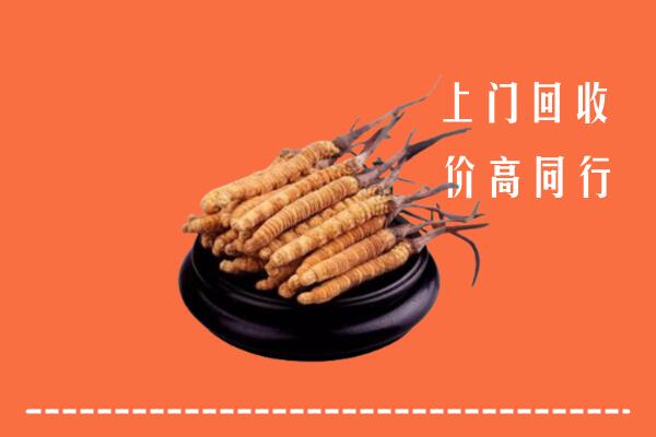 高价求购：若尔盖县回收散虫草