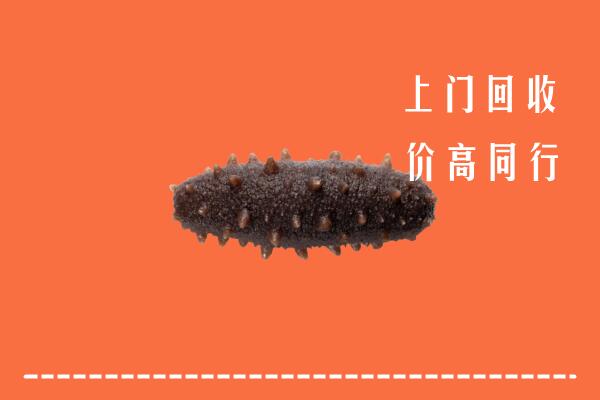 若尔盖县回收海参